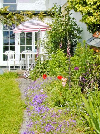 Coles herbaceous border and terrace