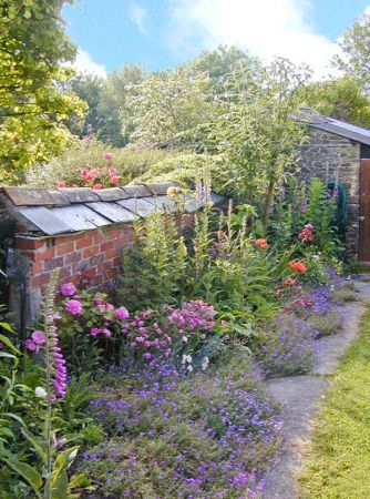 Coles herbaceous border